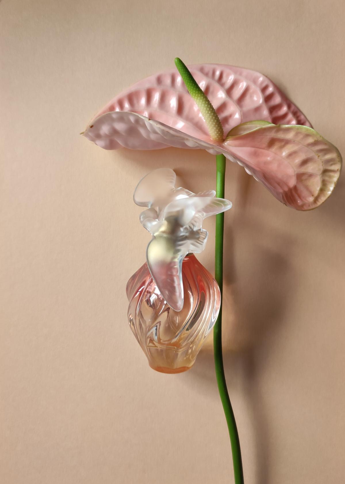 عطر ادکلن لِر دو پَرادی نینا ریچی - L'Air du Paradis Nina Ricci - بررسی، قیمت و خرید