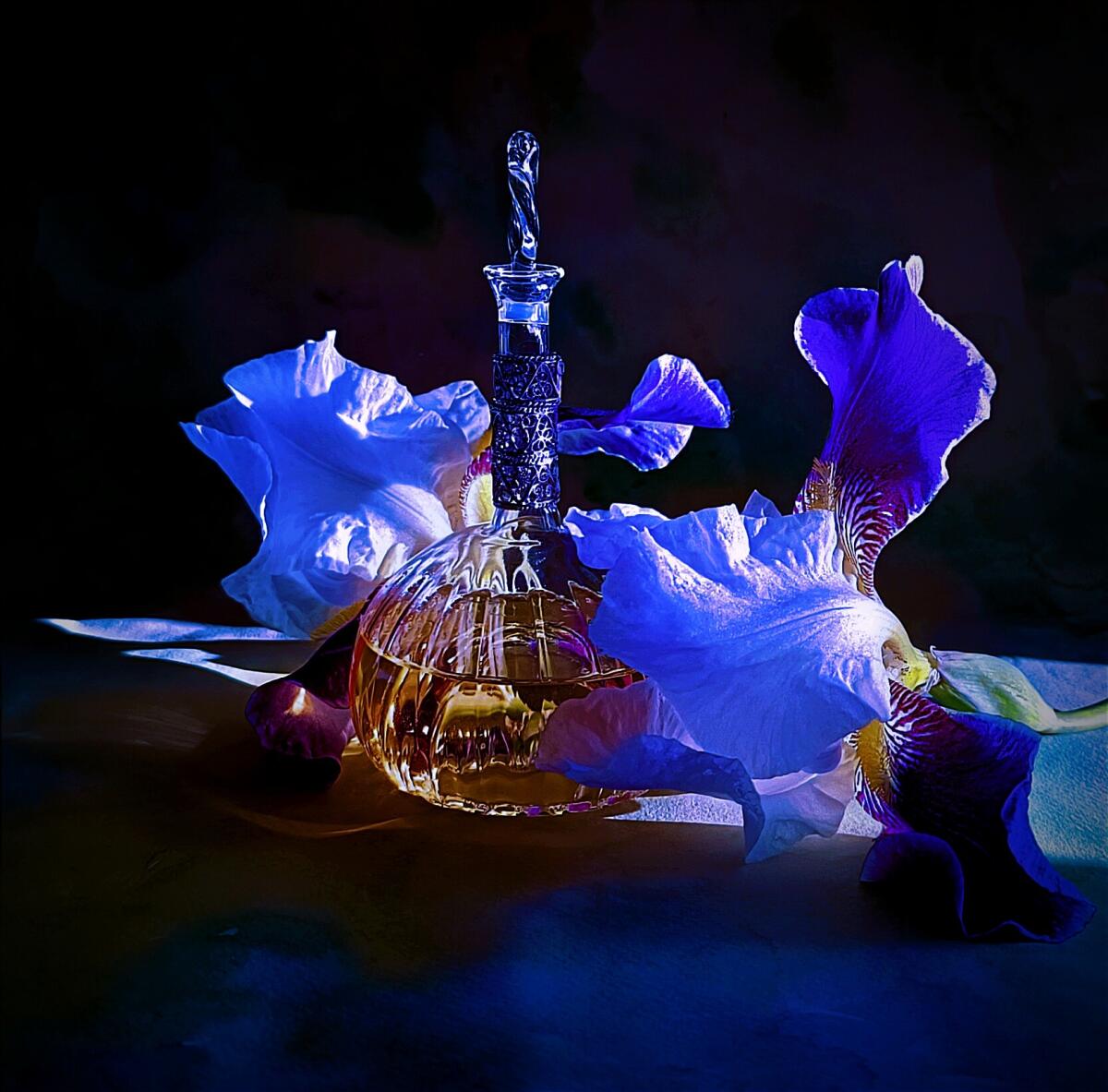 عطر ادکلن کاستادیوا استراتو نوبیل ۱۹۴۲ - Castadiva Estratto Nobile 1942 - بررسی، قیمت و خرید
