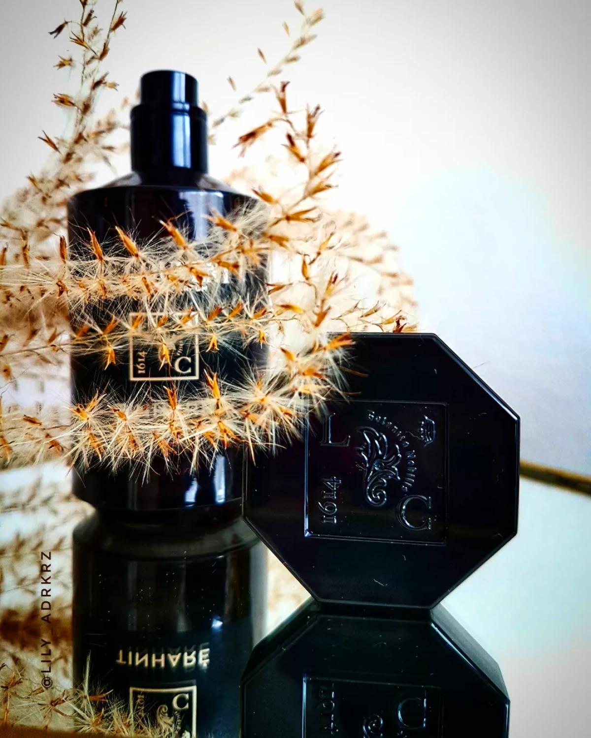 عطر ادکلن تیناره لو کوونت مزون د پارفوم - Tinharé Le Couvent Maison de Parfum - بررسی، قیمت و خرید