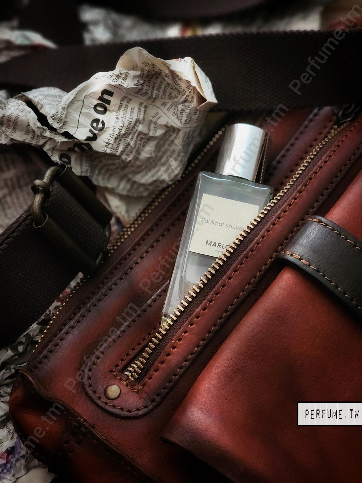 عطر ادکلن کارنیکور مارلو - Carnicure Marlou - بررسی، قیمت و خرید