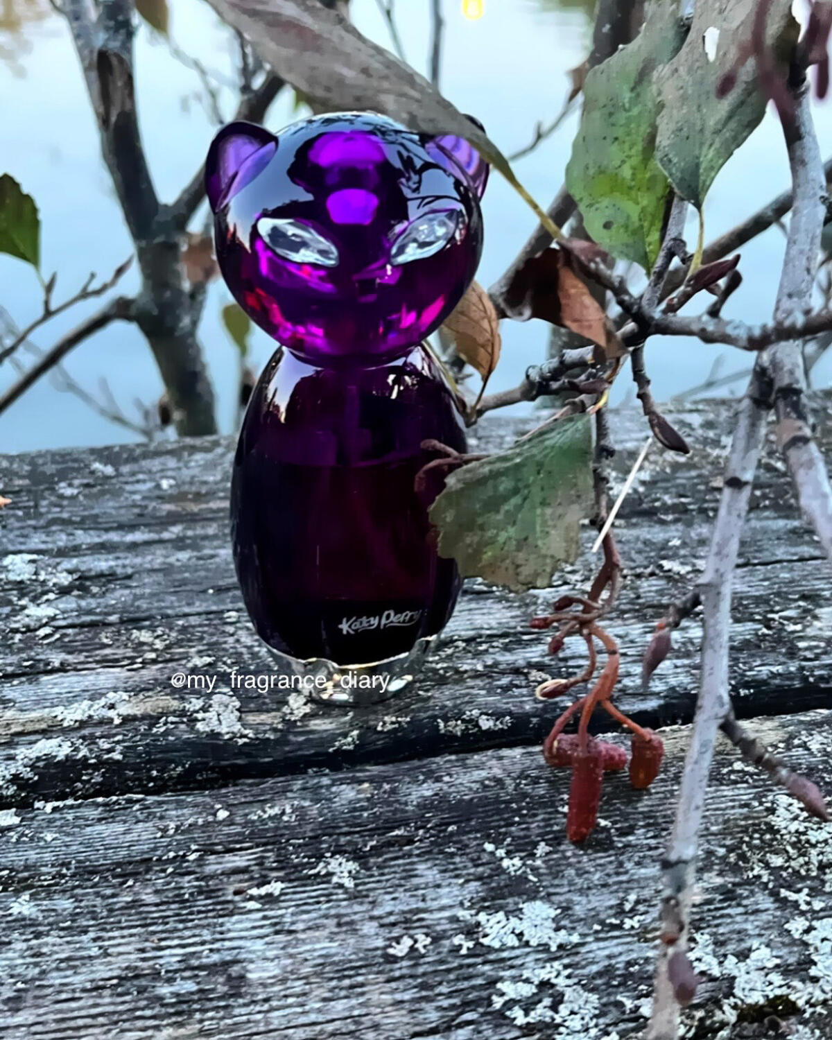 عطر ادکلن پر کتی پری - Purr Katy Perry - بررسی، قیمت و خرید