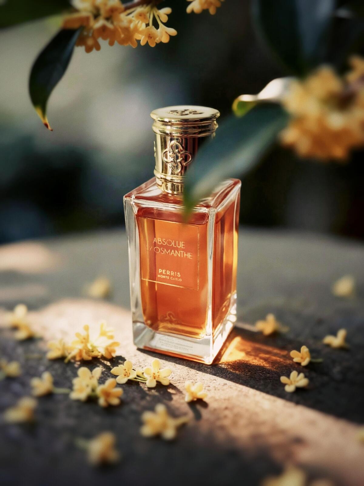 عطر ادکلن ابسلو د عثمانته اکسترایت پریس مونت کارلو - Absolue d’Osmanthe Extrait Perris Monte Carlo - بررسی، قیمت و خرید