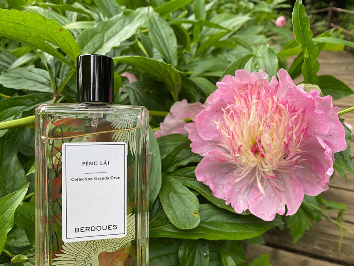 عطر ادکلن پِنگ لای پارفومز بردو - Peng Lai Parfums Berdoues - بررسی، قیمت و خرید