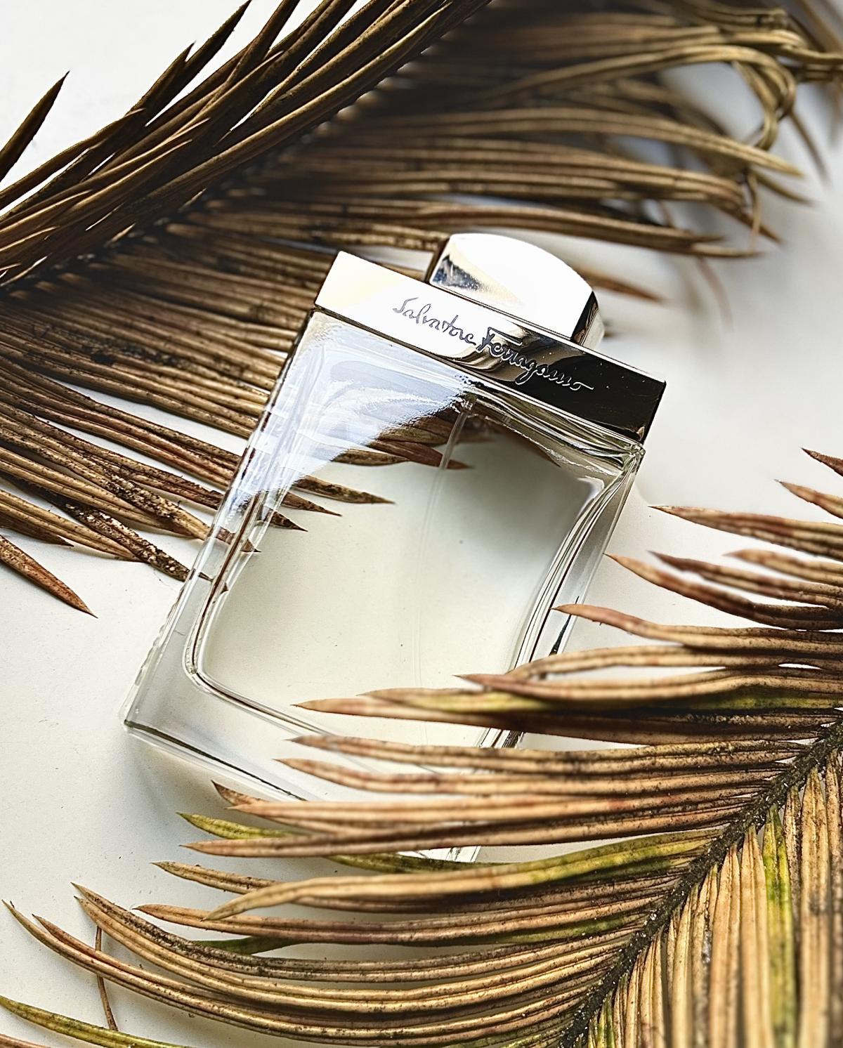 عطر ادکلن سالواتوره فراگامو پور هوم سالواتوره فراگامو - Salvatore Ferragamo Pour Homme Salvatore Ferragamo - بررسی، قیمت و خرید