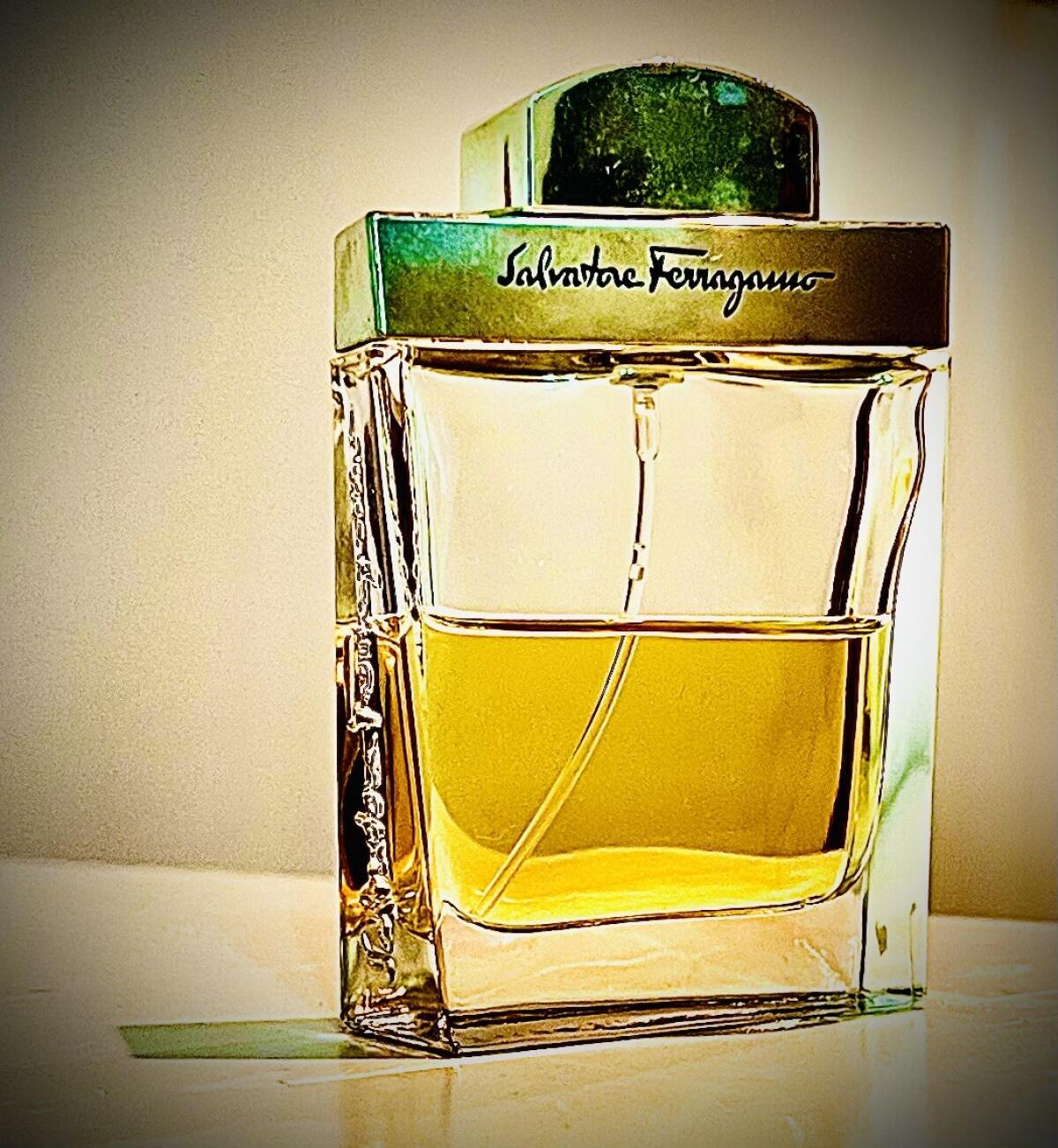 عطر ادکلن سالواتوره فراگامو پور هوم سالواتوره فراگامو - Salvatore Ferragamo Pour Homme Salvatore Ferragamo - بررسی، قیمت و خرید