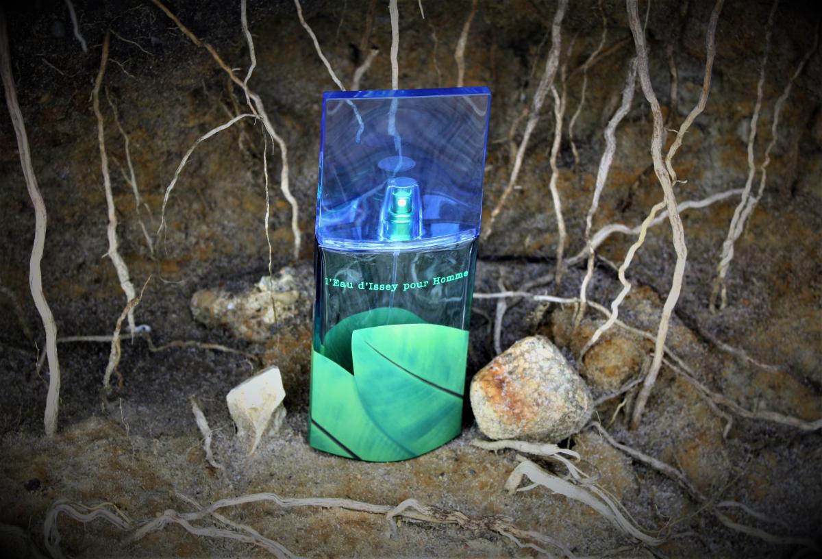 عطر ادکلن لئو د ایسه پور هوم او دو تویلت له ته ایسه میاکه - L'Eau d'Issey Pour Homme Eau de Toilette L'Ete Issey Miyake - بررسی، قیمت و خرید