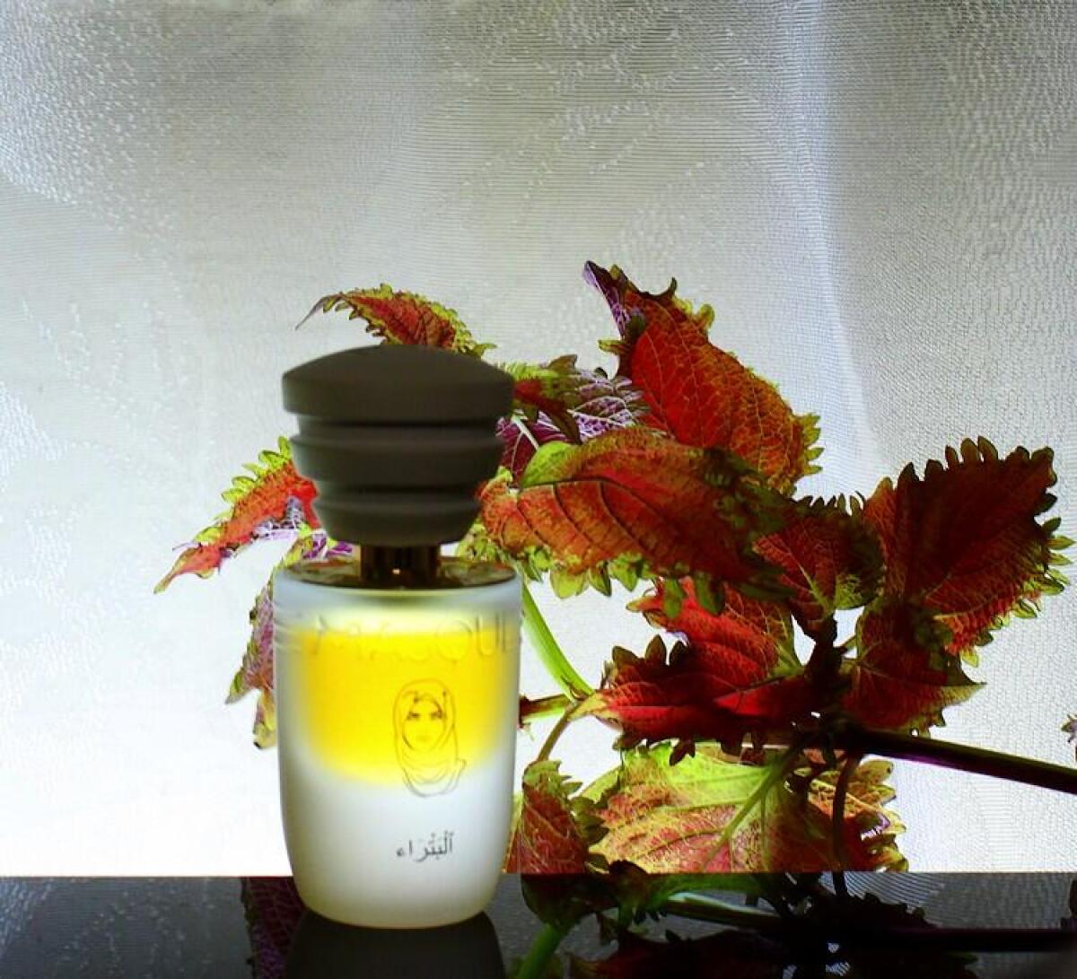 عطر ادکلن پترا مسک میلانو - Petra Masque Milano - بررسی، قیمت و خرید