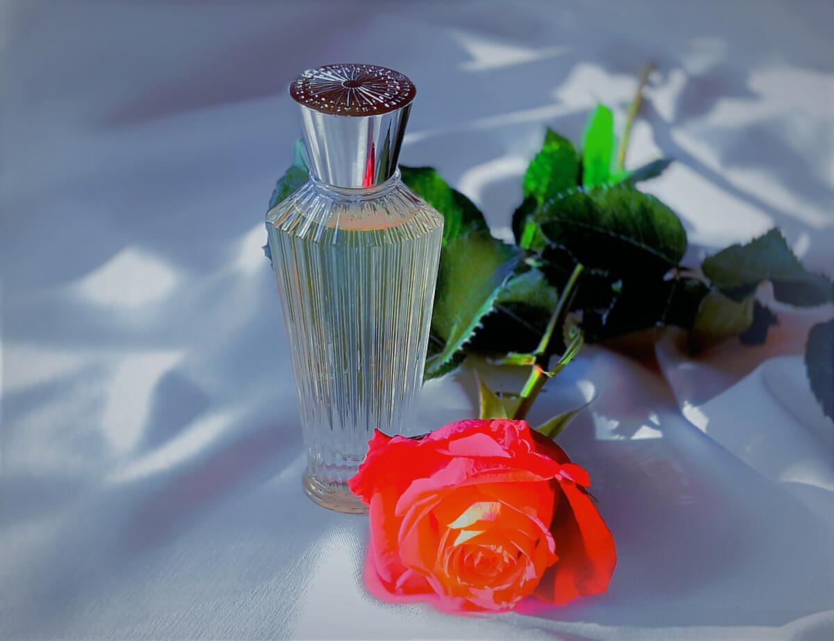 عطر ادکلن راحله نیلا ورمیره کریشنز - Rahele Neela Vermeire Creations - بررسی، قیمت و خرید