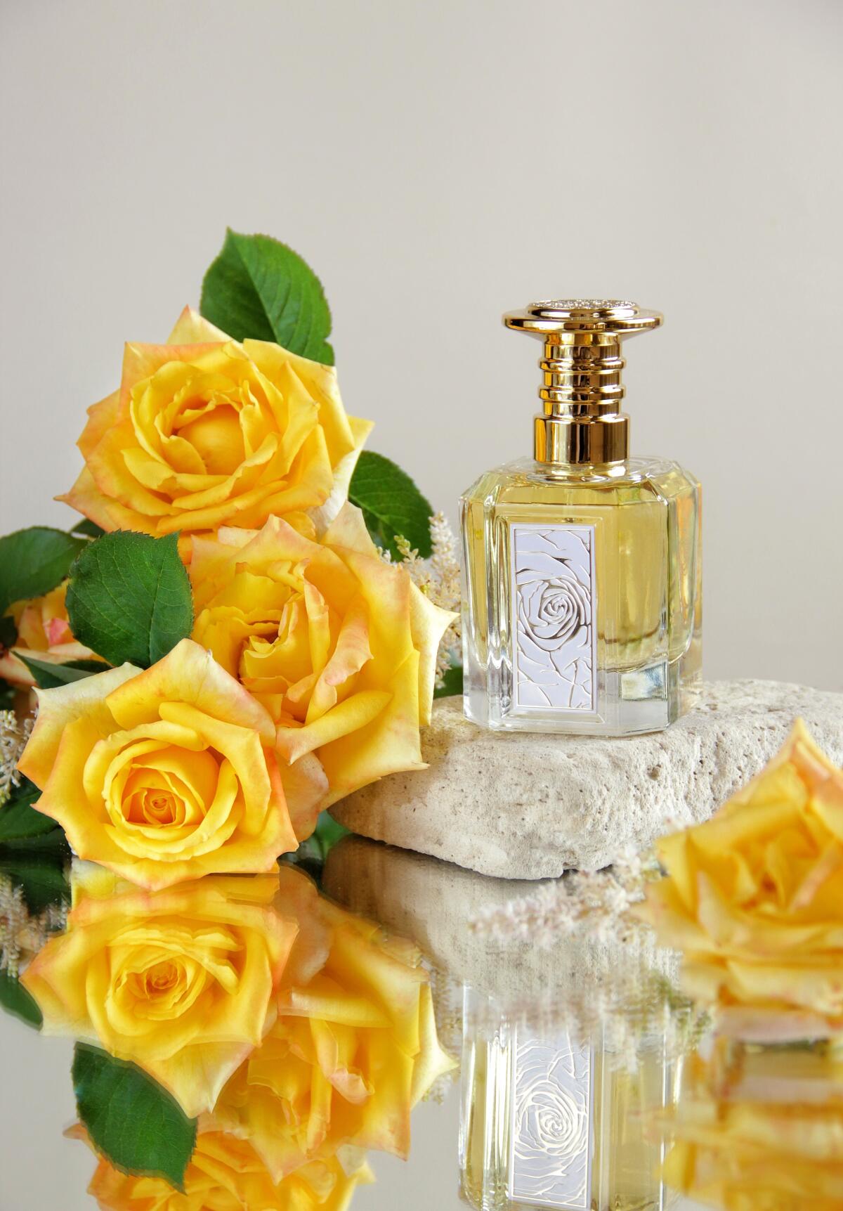 عطر ادکلن مازاجی لتافا پرفیومز - Mazaaji Lattafa Perfumes - بررسی، قیمت و خرید