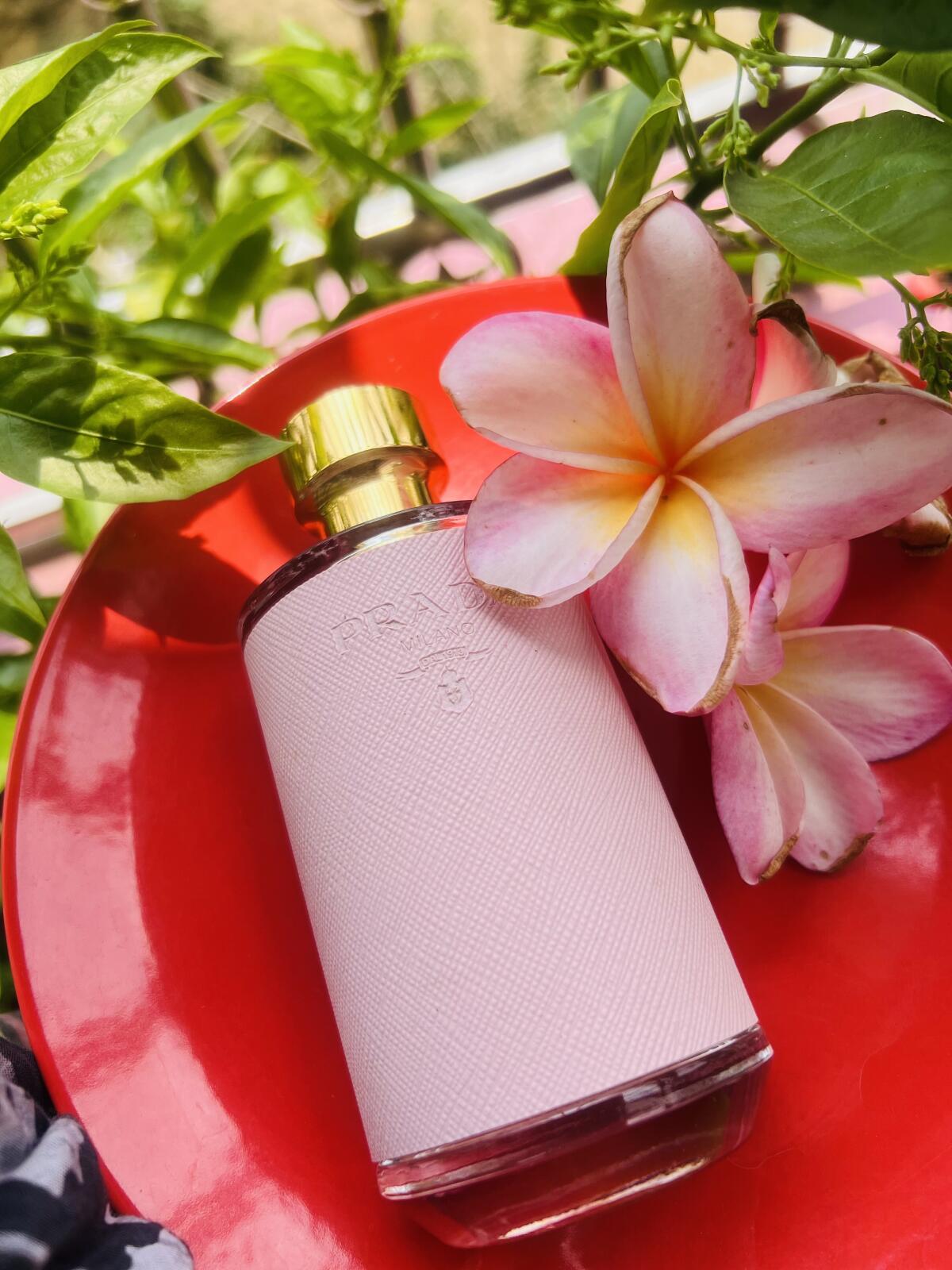 عطر ادکلن پرادا لا فم لو پرادا - Prada La Femme L'Eau Prada - بررسی، قیمت و خرید