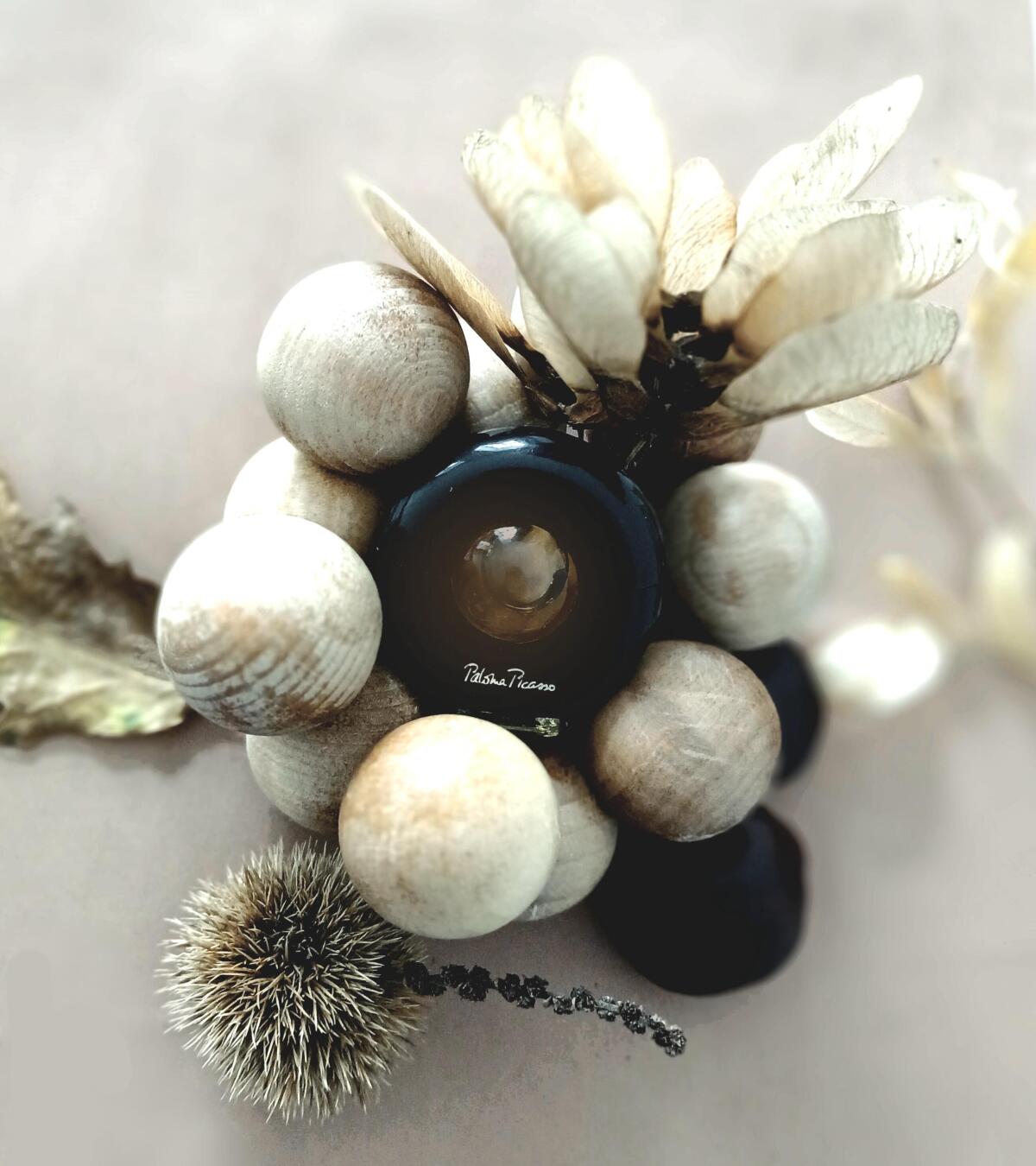 عطر ادکلن پالما پیکاسو پالما پیکاسو - Paloma Picasso Paloma Picasso - بررسی، قیمت و خرید