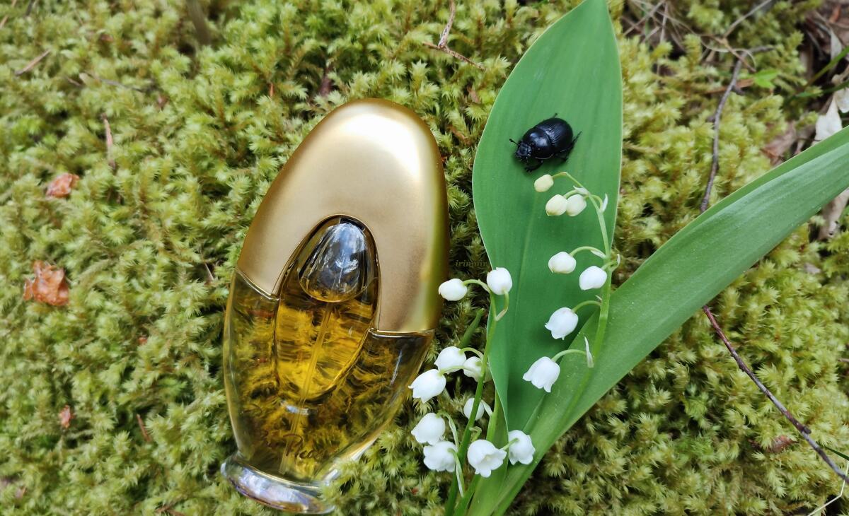 عطر ادکلن پالما پیکاسو اُ دو تُوایلت پالومه پیکاسو - Paloma Picasso Eau de Toilette Paloma Picasso - بررسی، قیمت و خرید