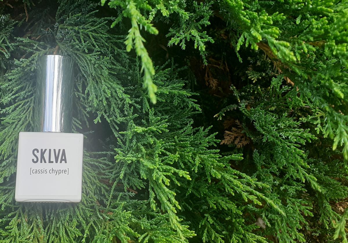 عطر ادکلن کسسیس چیپر اسکلووا - [cassis chypre] SKLVA - بررسی، قیمت و خرید