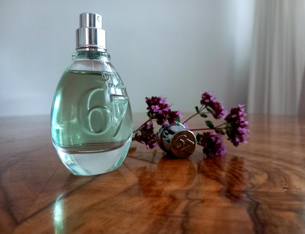 عطر ادکلن شصت و هفت آرتمیزیا پوملاتو - 67 Artemisia Pomellato - بررسی، قیمت و خرید