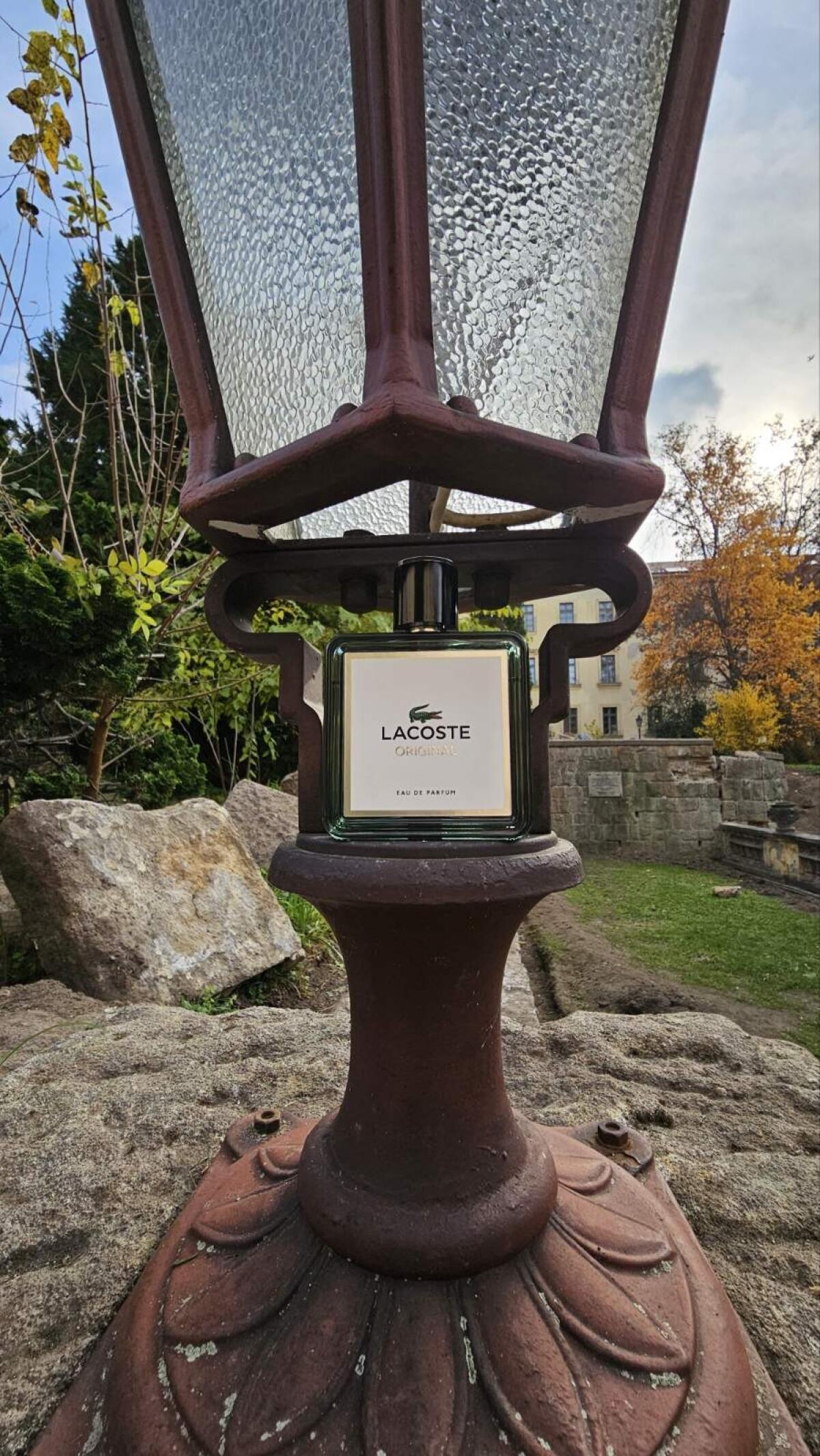 عطر ادکلن لاکست اورجینال لاکست فراگرنسز - Lacoste Original Lacoste Fragrances - بررسی، قیمت و خرید