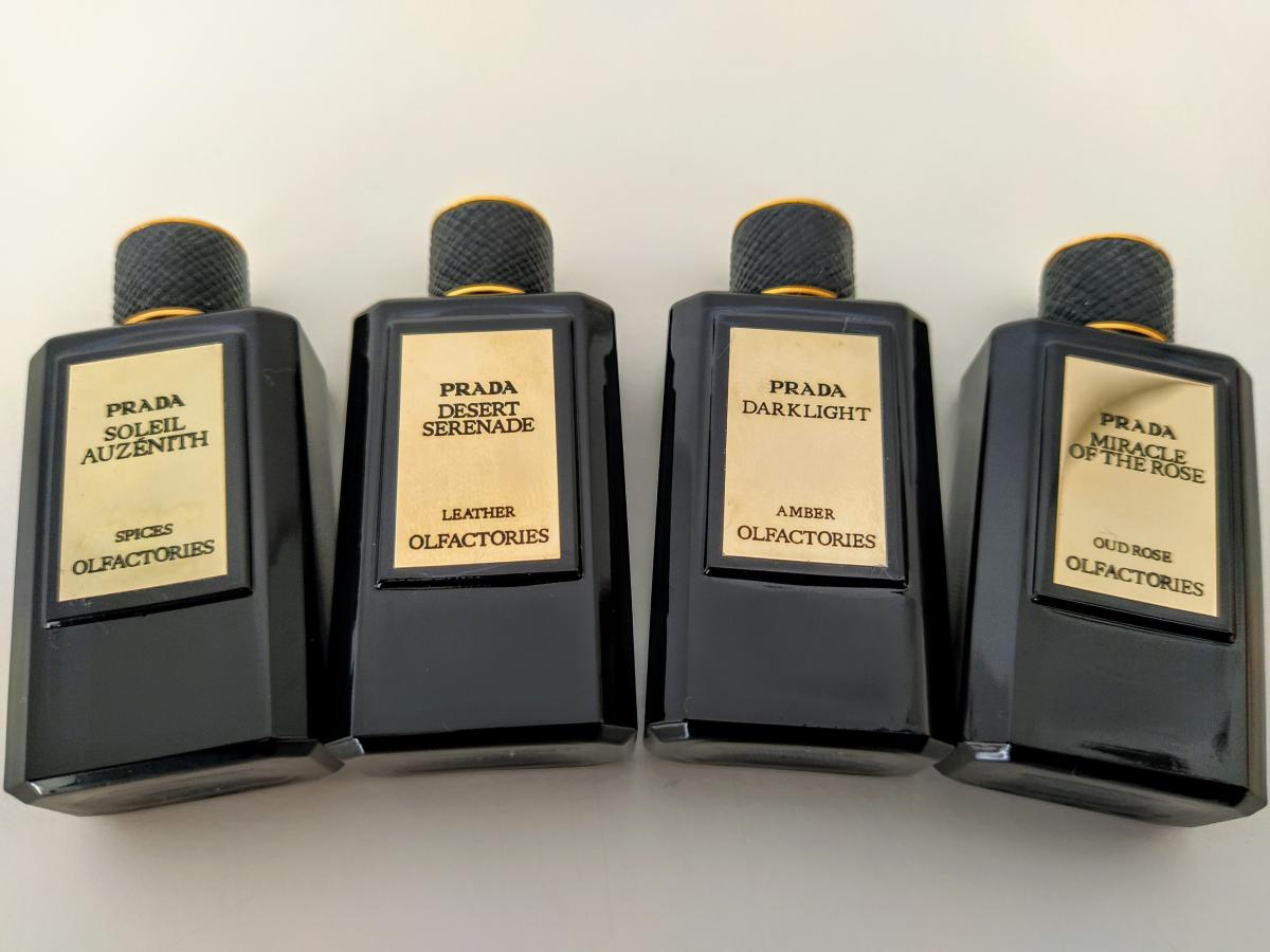 عطر ادکلن میراژز میراکل آو د رز پرادا - Mirages Miracle of the Rose Prada - بررسی، قیمت و خرید