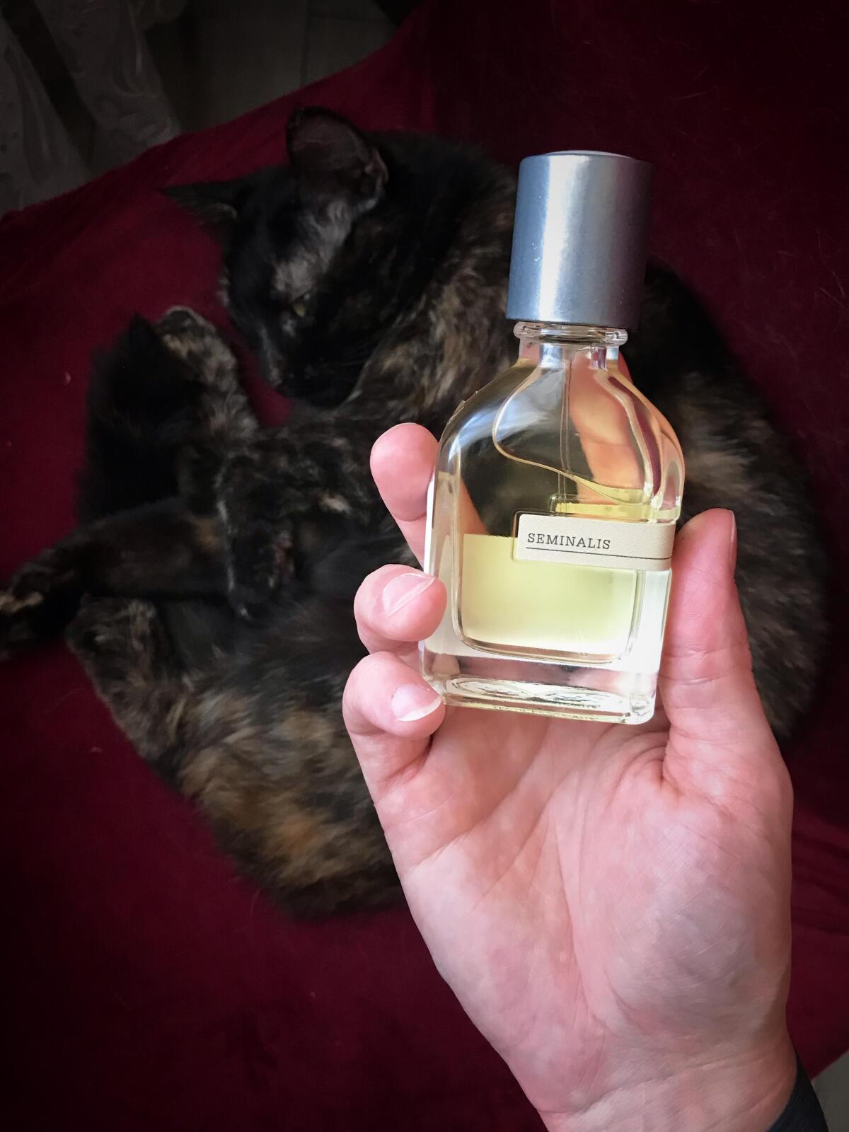 عطر ادکلن سمینالیس اورتو پاریسی - Seminalis Orto Parisi - بررسی، قیمت و خرید