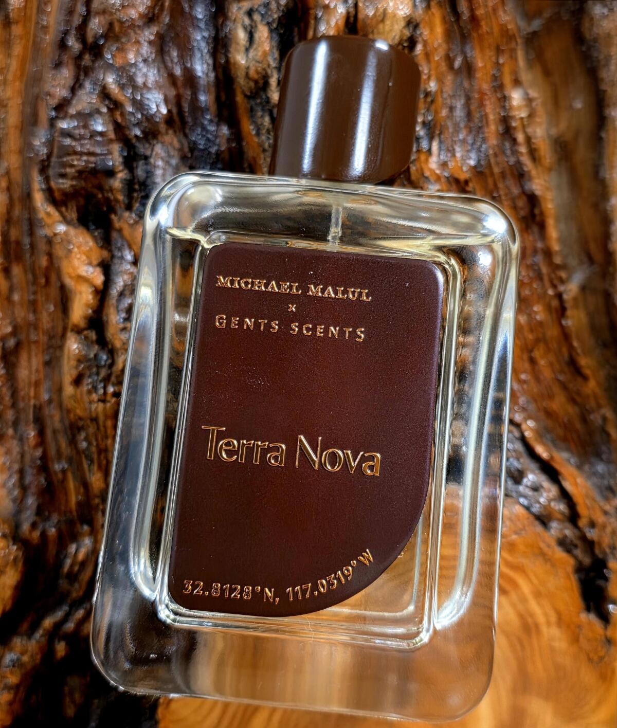عطر ادکلن ترا نُوا مایکل ملول لندن - Terra Nova Michael Malul London - بررسی، قیمت و خرید