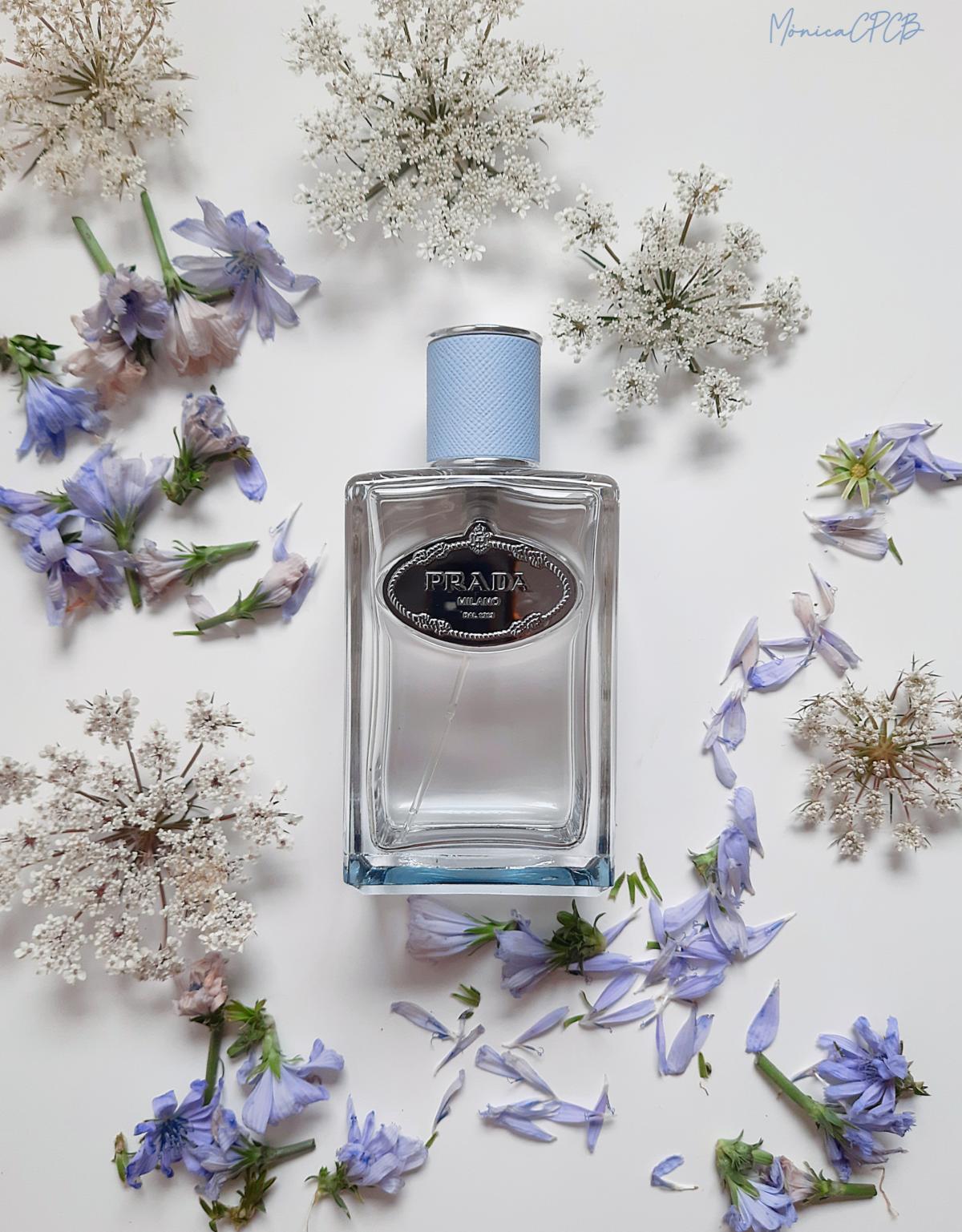 عطر ادکلن اینفیوژن دو آماند پرادا - Infusion d'Amande Prada - بررسی، قیمت و خرید