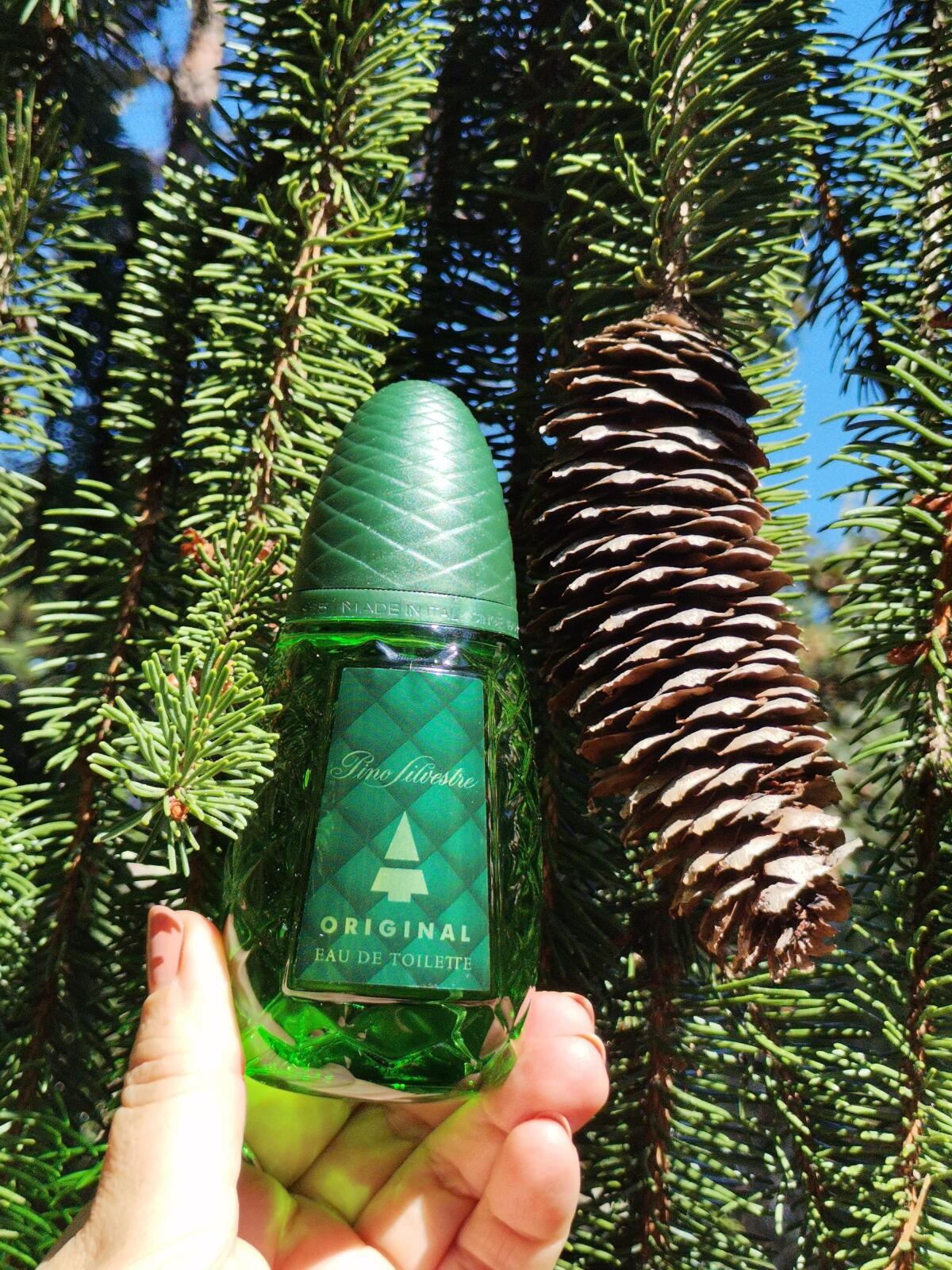 عطر ادکلن پینو سیلوستره اوریجینال پینو سیلوستره - Pino Silvestre Original Pino Silvestre - بررسی، قیمت و خرید