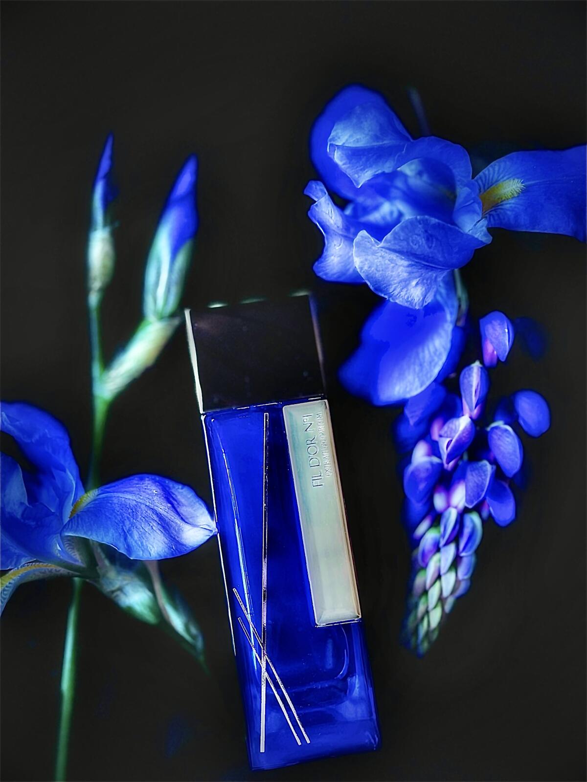 عطر ادکلن فیل دور نامبر وان لوران مازون پرفیومز - Fil d'Or No1 Laurent Mazzone Parfums - بررسی، قیمت و خرید