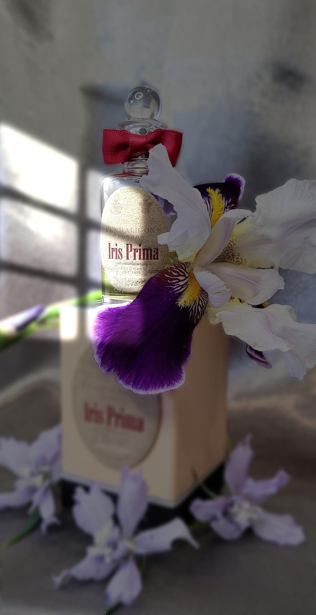 عطر ادکلن آیریس پریما پنهالیگنز - Iris Prima Penhaligon's - بررسی، قیمت و خرید