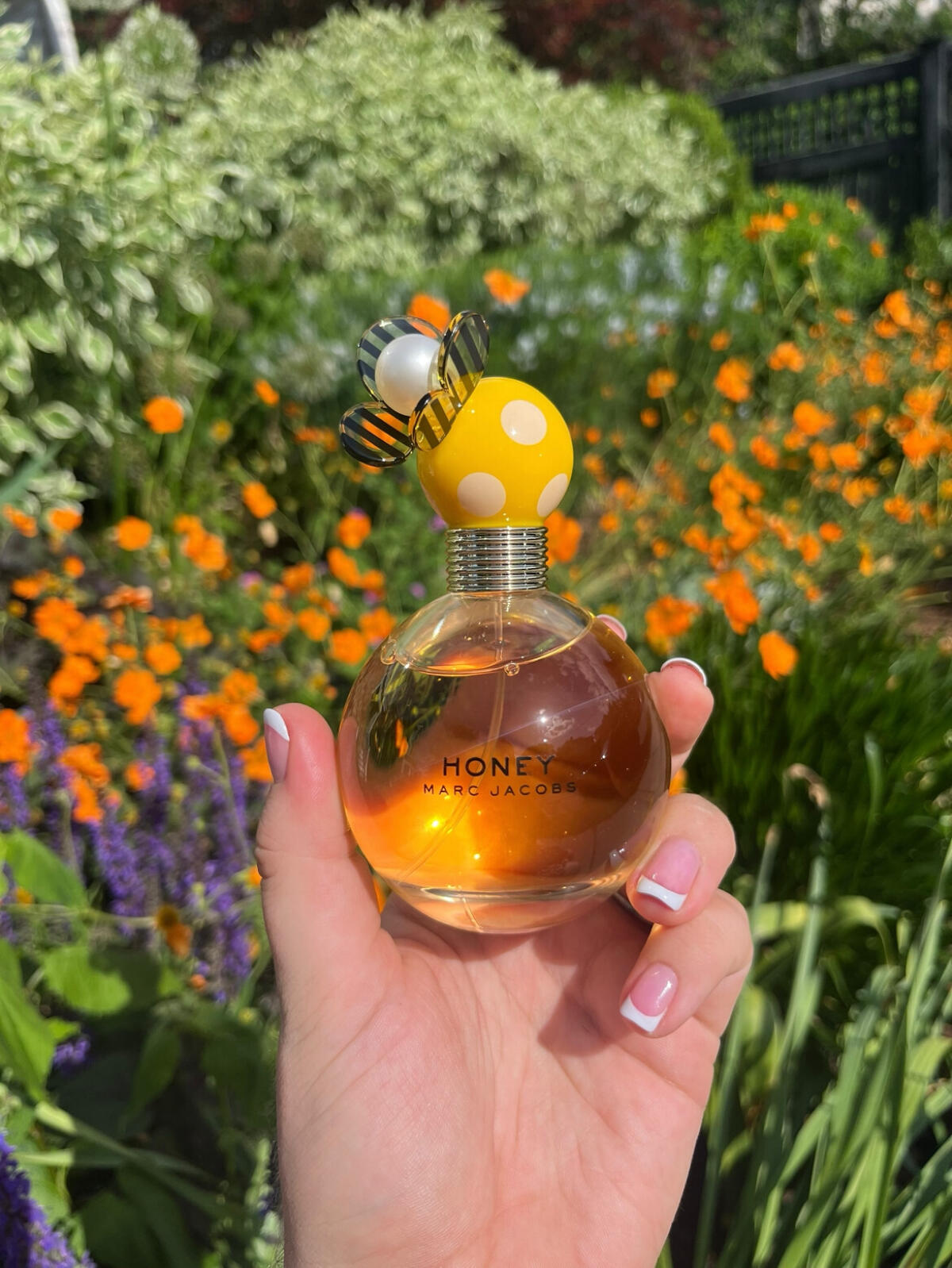 عطر ادکلن هانی مارک جیکوبز - Honey Marc Jacobs - بررسی، قیمت و خرید
