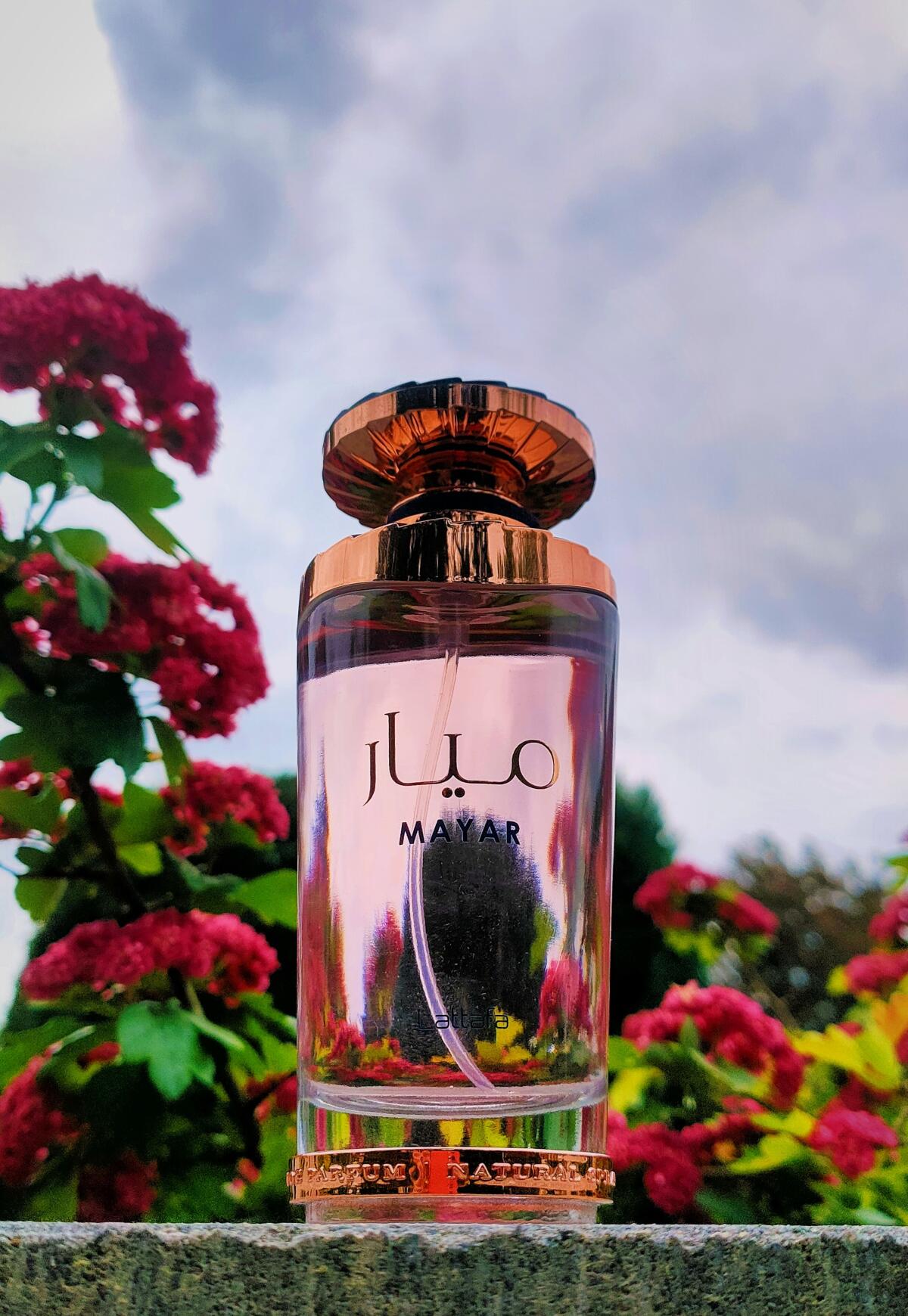 عطر ادکلن مایار لتافا پرفیومز - Mayar Lattafa Perfumes - بررسی، قیمت و خرید