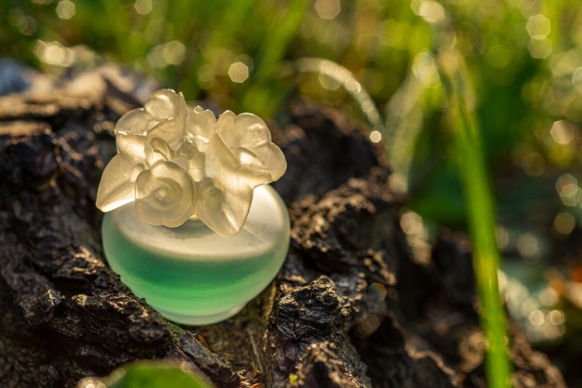 عطر ادکلن ورت پرینتمز پوپا - Vert Printemps Pupa - بررسی، قیمت و خرید