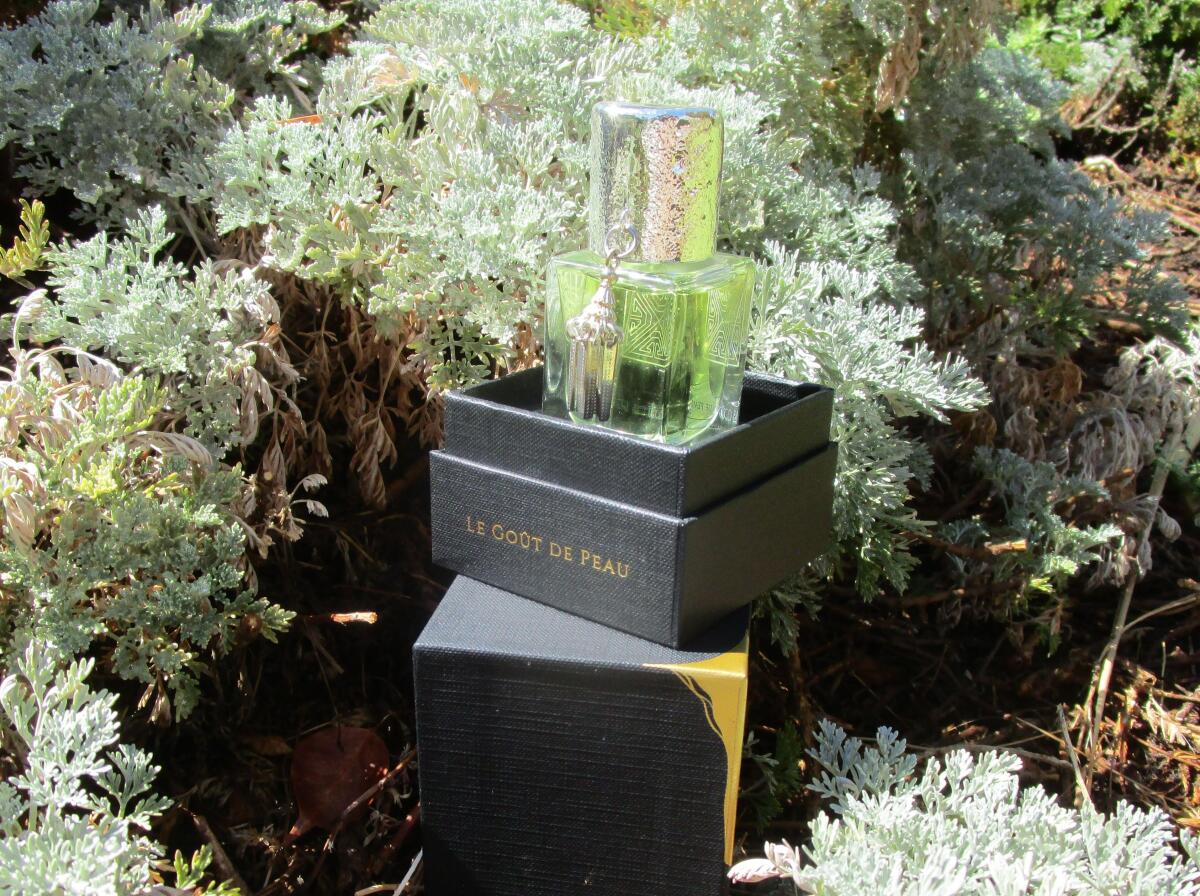 عطر ادکلن لیگونگ مانتین لِ گوت دو پو - Leigong Mountain 雷公山 Le Goût De Peau 肌肤之味 - بررسی، قیمت و خرید