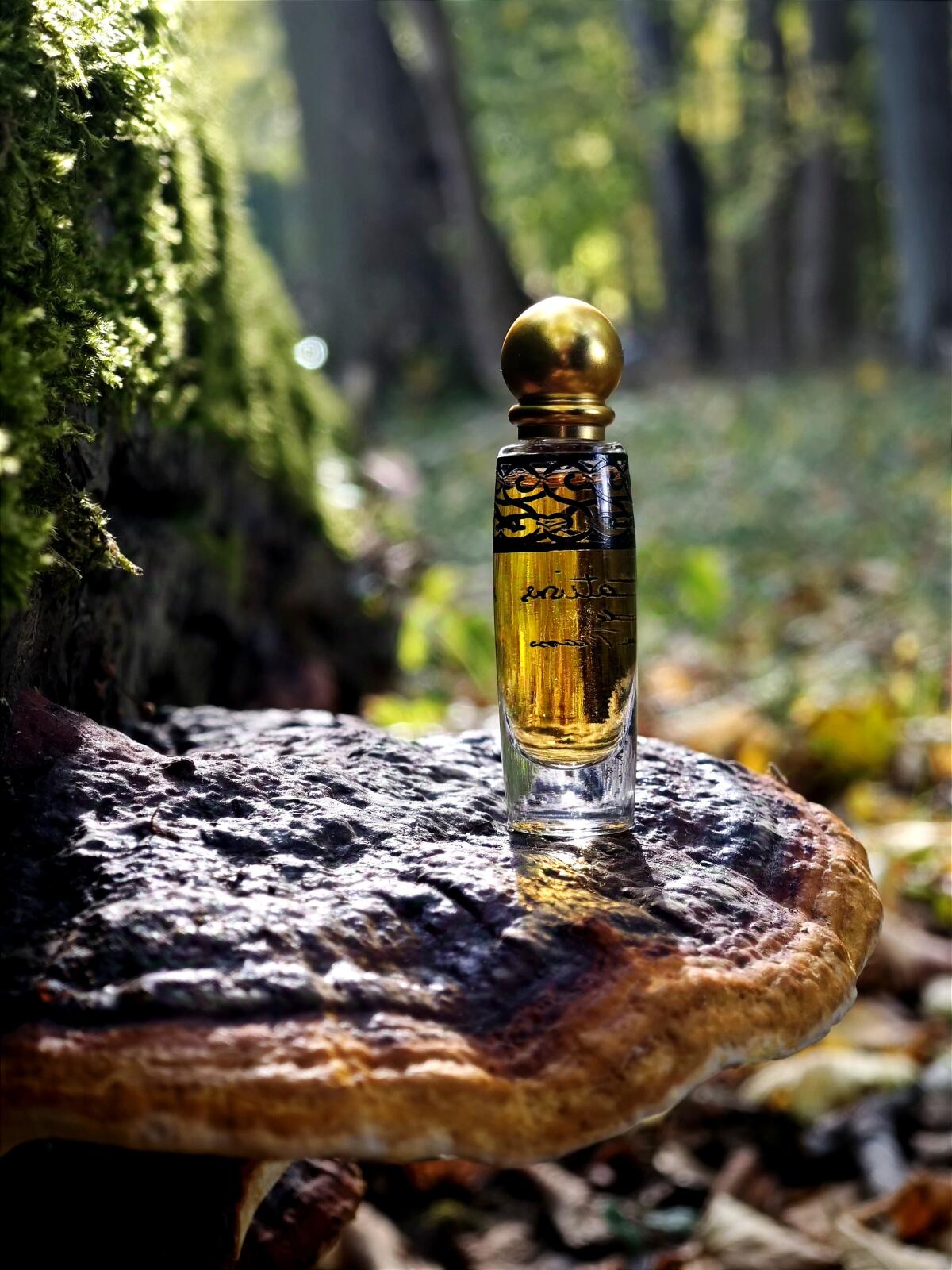 عطر ادکلن تن‌تاشنز پالما پیکاسو - Tentations Paloma Picasso - بررسی، قیمت و خرید