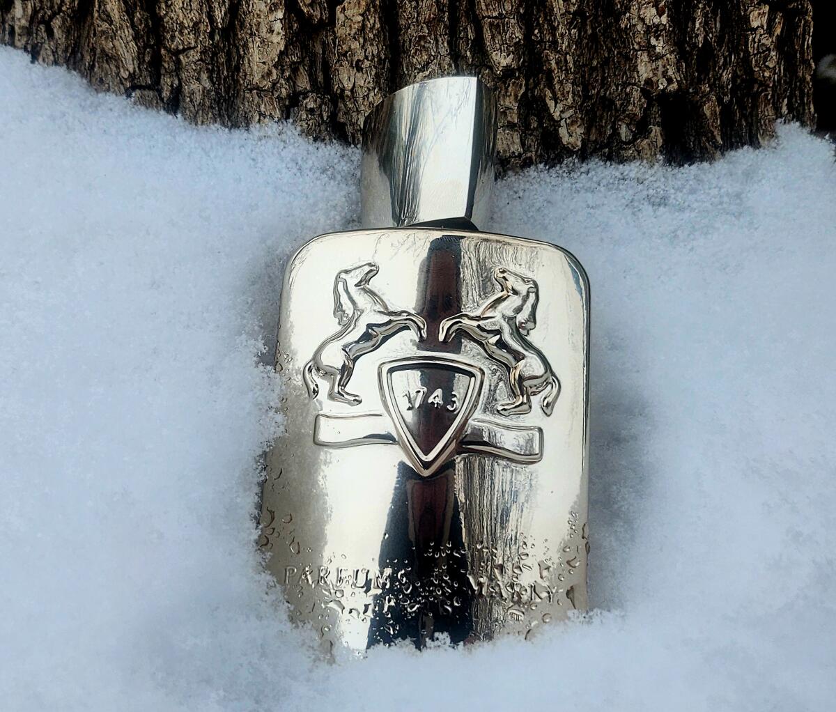 عطر ادکلن پگاسوس پارفوم د مارلی - Pegasus Parfums de Marly - بررسی، قیمت و خرید