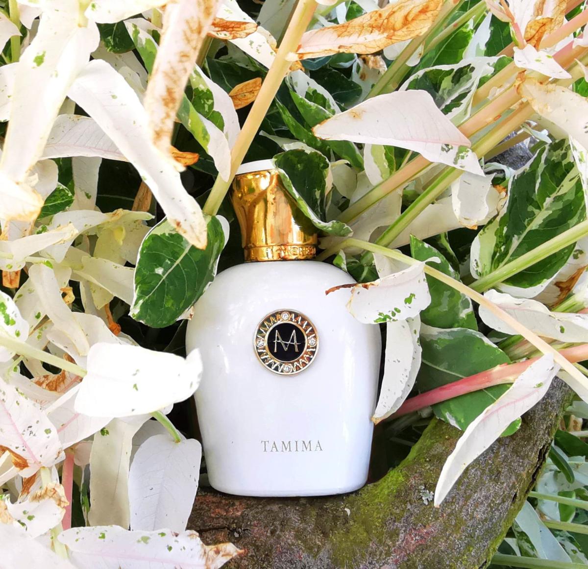 عطر ادکلن تامیمه مورِسک - Tamima Moresque - بررسی، قیمت و خرید