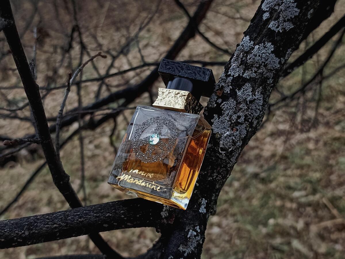 عطر ادکلن آرت کالکشن وانیل ماندارین اِم. مایکَلِف - Art Collection Vanille Mandarine M. Micallef - بررسی، قیمت و خرید
