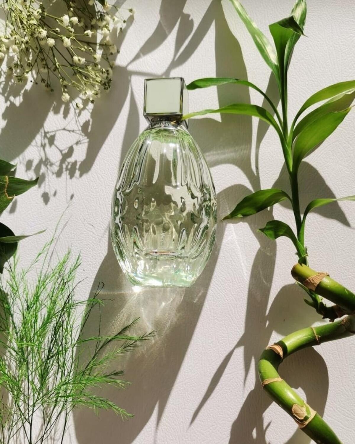 عطر ادکلن جیمی چو فلورال جیمی چو - Jimmy Choo Floral Jimmy Choo - بررسی، قیمت و خرید