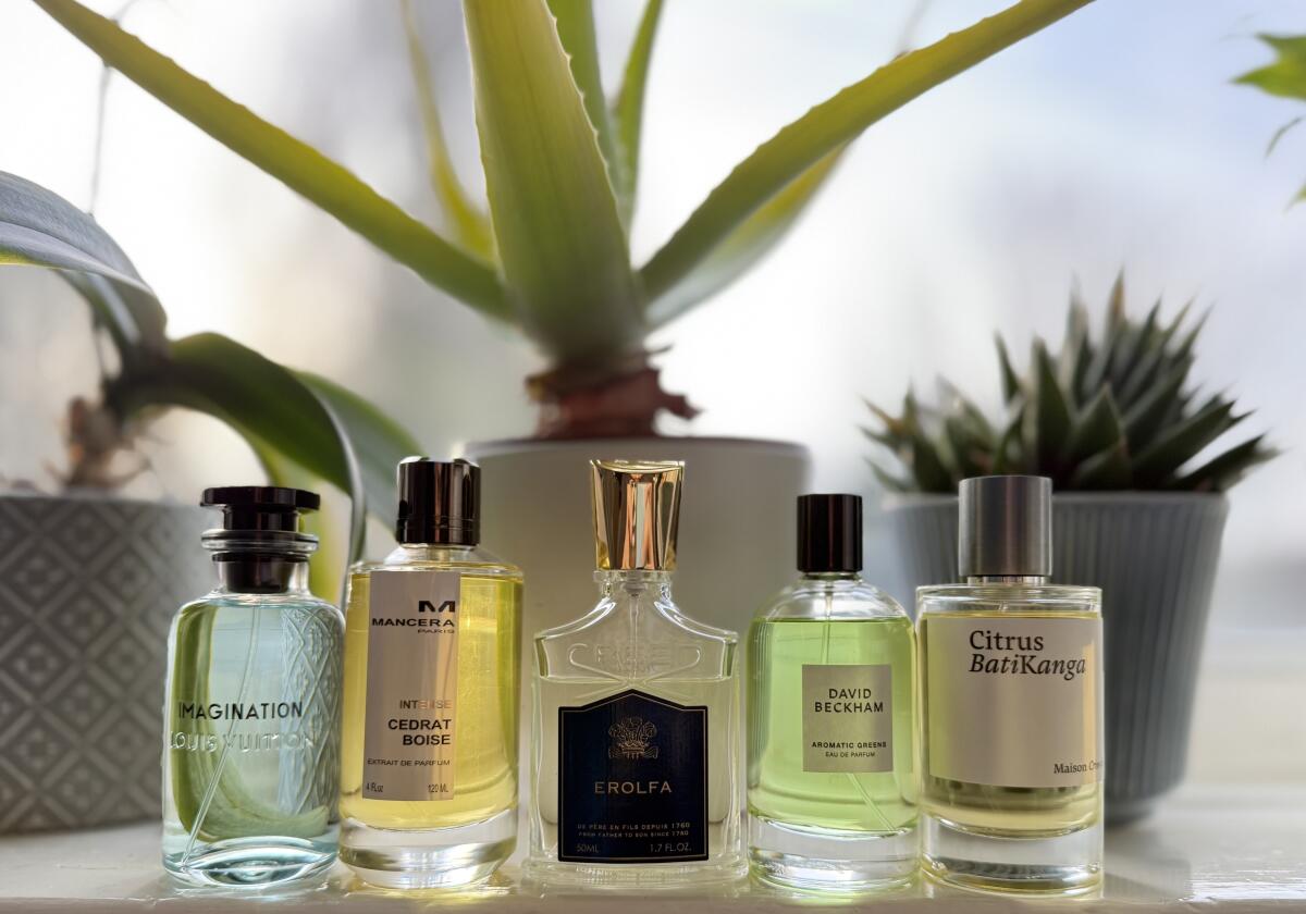 عطر ادکلن اینتنس سدرات بویز منصرا - Intense Cedrat Boise Mancera - بررسی، قیمت و خرید