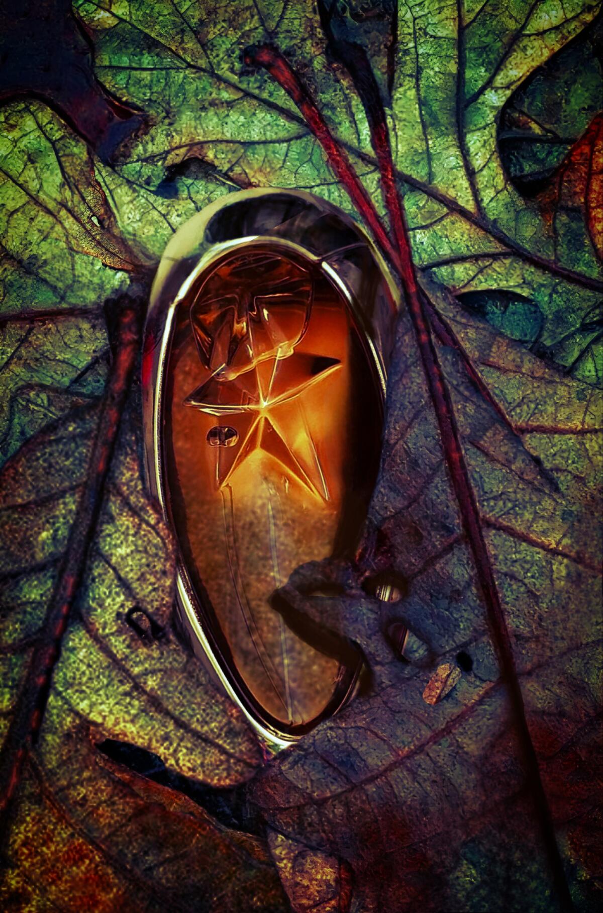 عطر ادکلن اِنجِل میوز موگلر - Angel Muse Mugler - بررسی، قیمت و خرید