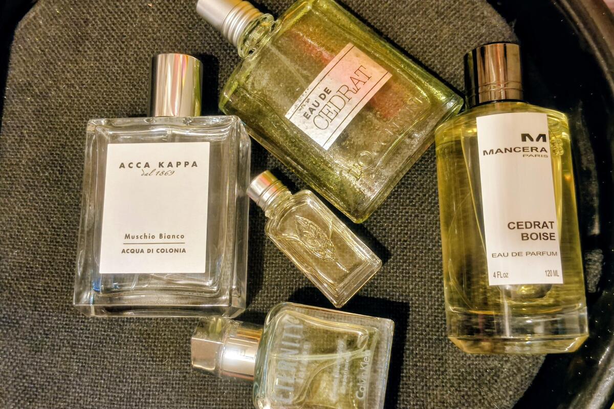 عطر ادکلن سدرات بویز مانسرا - Cedrat Boise Mancera - بررسی، قیمت و خرید
