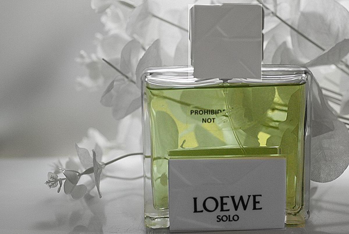عطر ادکلن سولو لووه اوریگامی لویو - Solo Loewe Origami Loewe - بررسی، قیمت و خرید