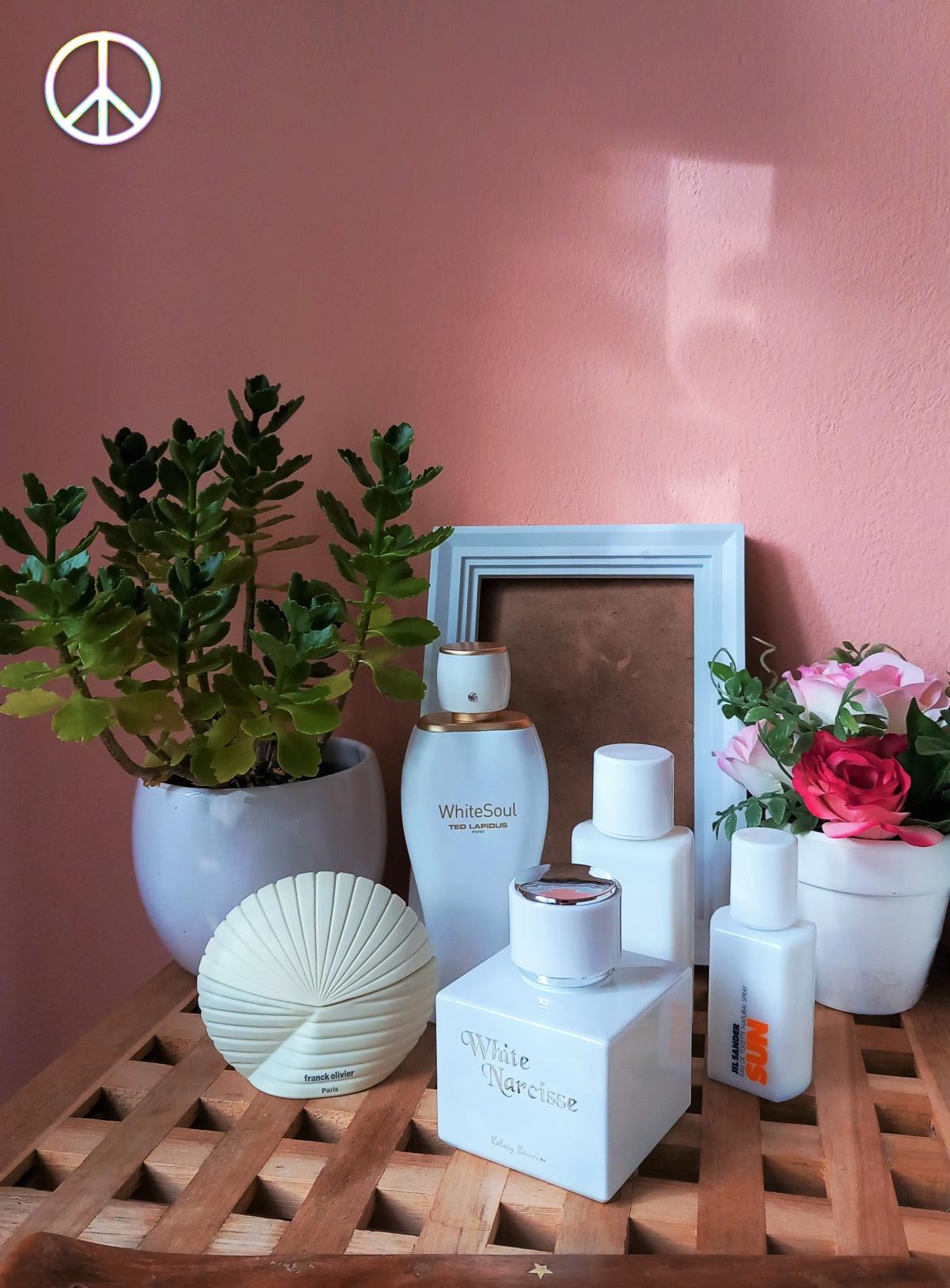 عطر ادکلن وایت نارسیس کلسی بروین - White Narcisse Kelsey Berwin - بررسی، قیمت و خرید
