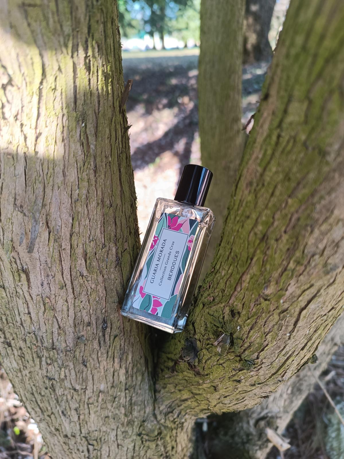 عطر ادکلن گواریا مورادا پارفوم بردوز - Guaria Morada Parfums Berdoues - بررسی، قیمت و خرید