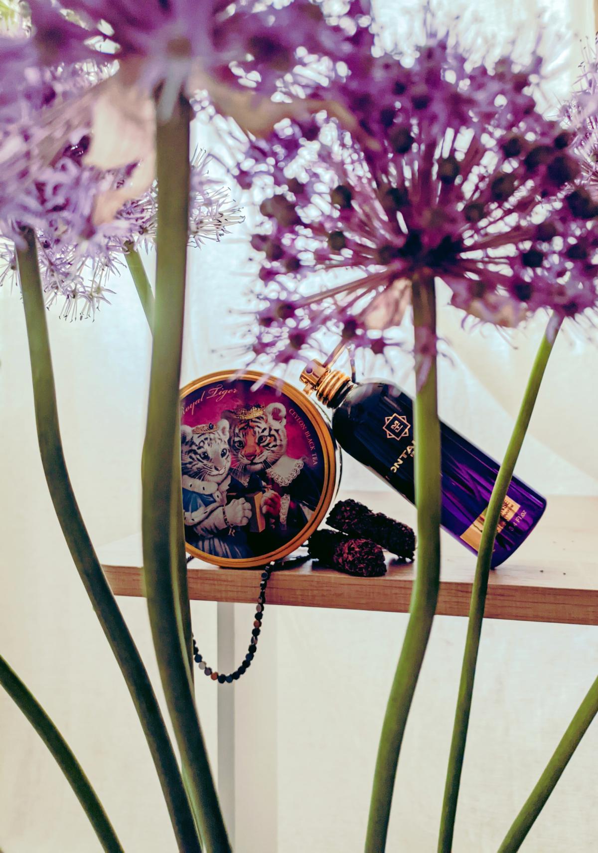 عطر ادکلن اُد سنس مونتال - Aoud Sense Montale - بررسی، قیمت و خرید