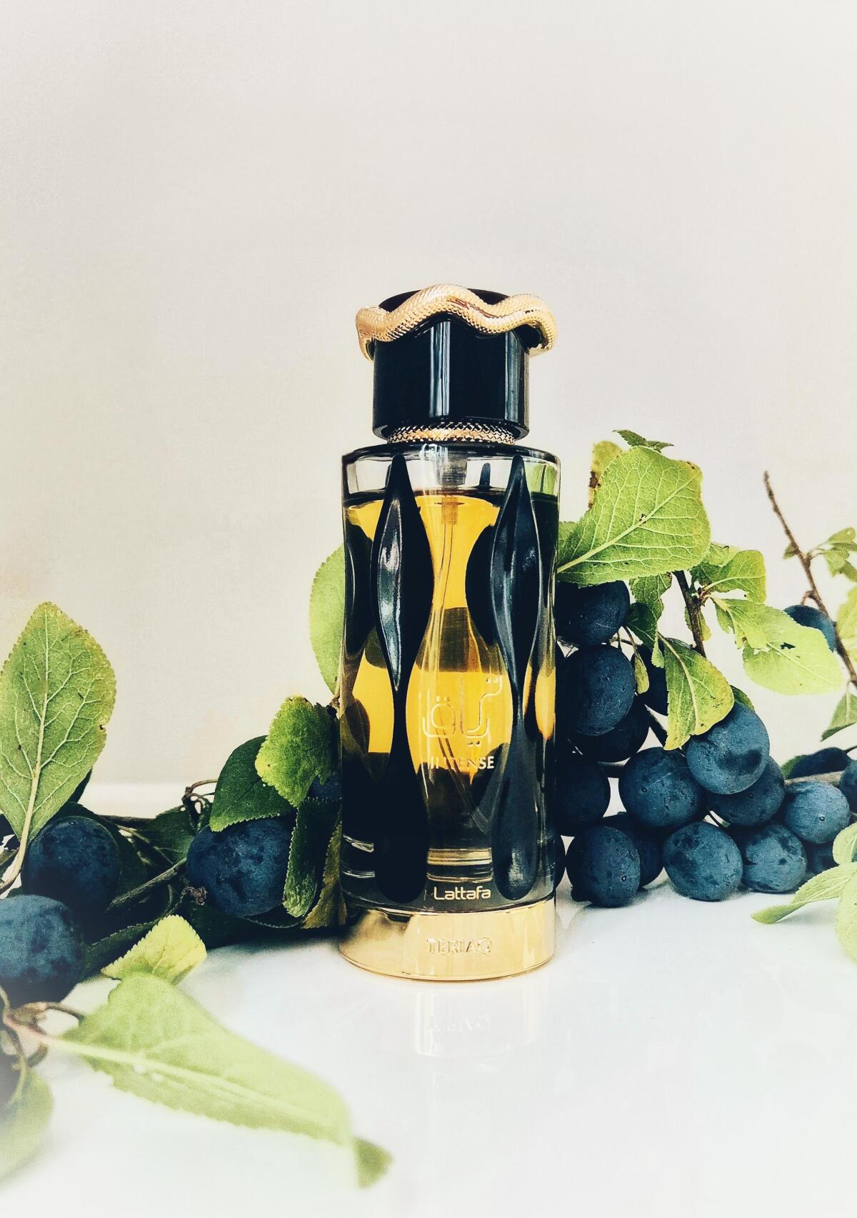 عطر ادکلن تریاک اینتنس لتافا پرفیومز - Teriaq Intense Lattafa Perfumes - بررسی، قیمت و خرید