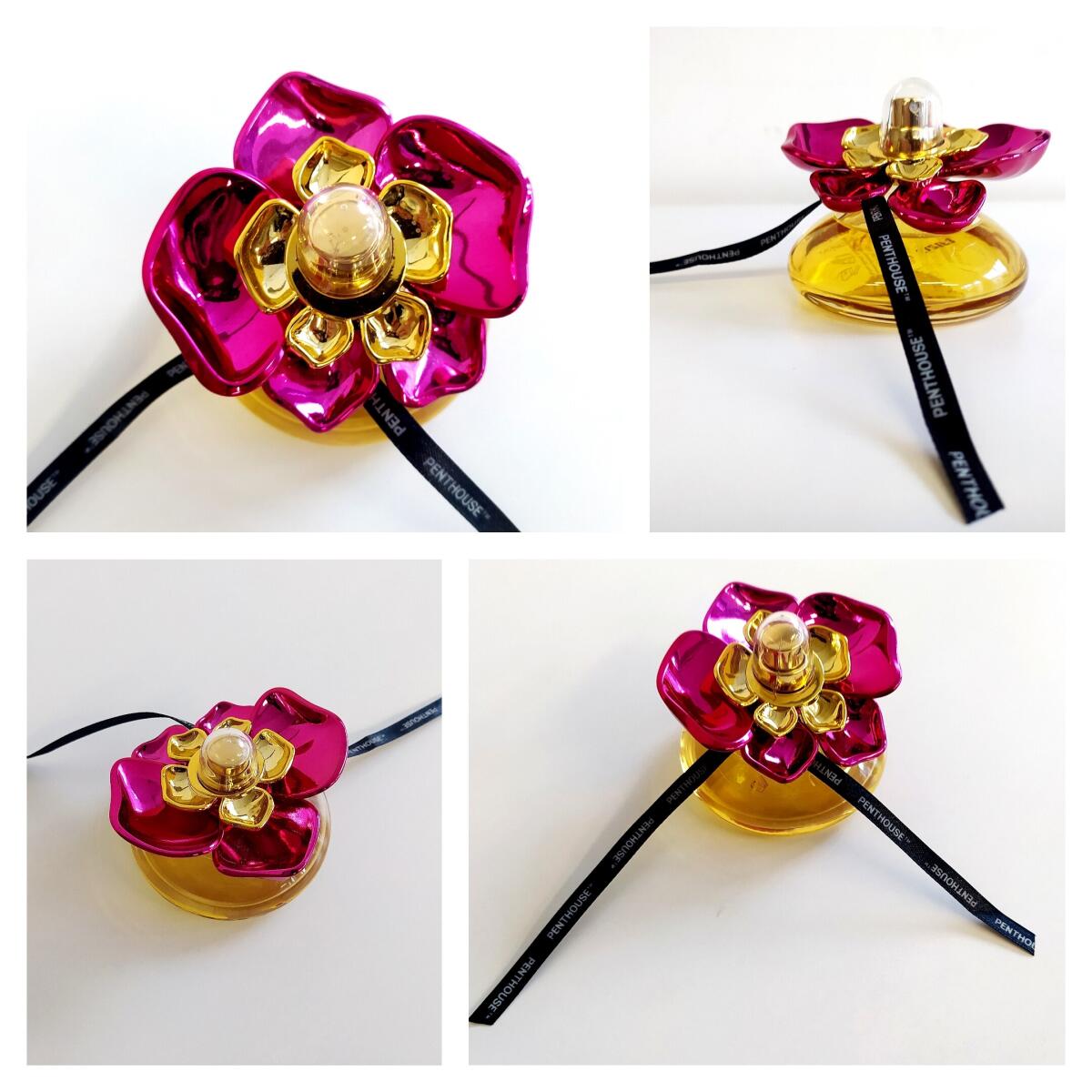 عطر ادکلن بلومینگ پشن پنت هاوس - Blooming Passion Penthouse - بررسی، قیمت و خرید