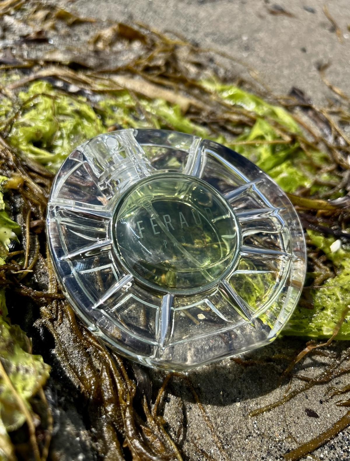 عطر ادکلن سولِی دِ ژاد لویی فرود - Soleil de Jade Louis Feraud - بررسی، قیمت و خرید