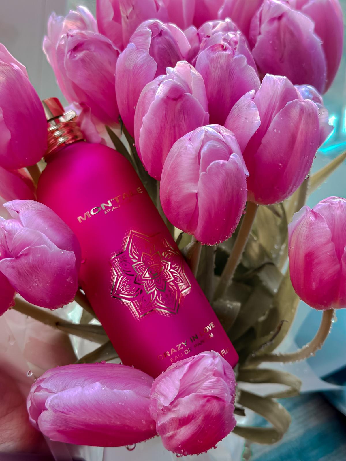 عطر ادکلن کریزی این لاو مونتال - Crazy In Love Montale - بررسی، قیمت و خرید