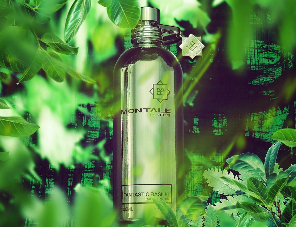 عطر ادکلن فنتستیک بسیلیک مونتال - Fantastic Basilic Montale - بررسی، قیمت و خرید