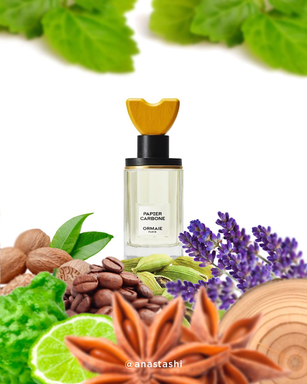 عطر ادکلن پاپیِر کاربون اورمایی - Papier Carbone Ormaie - بررسی، قیمت و خرید