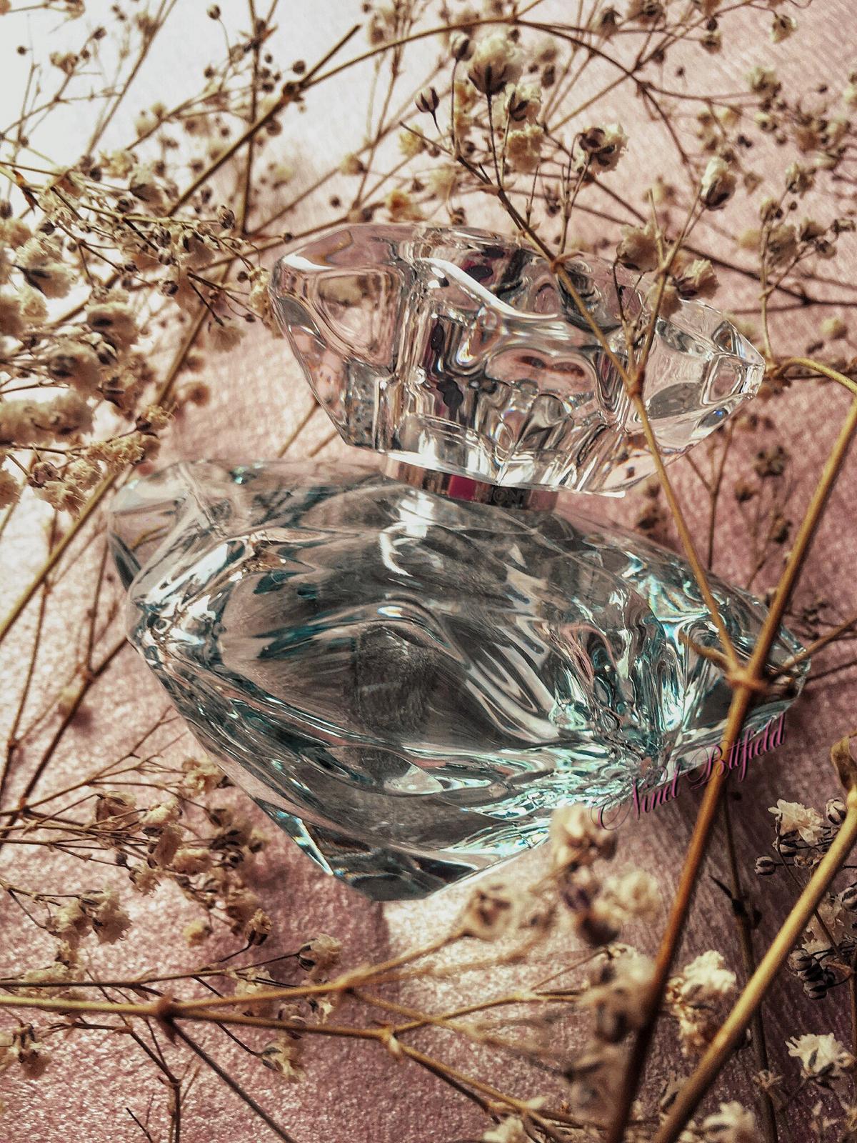 عطر ادکلن لیدی امبلم لو مون بلان - Lady Emblem L'Eau Montblanc - بررسی، قیمت و خرید