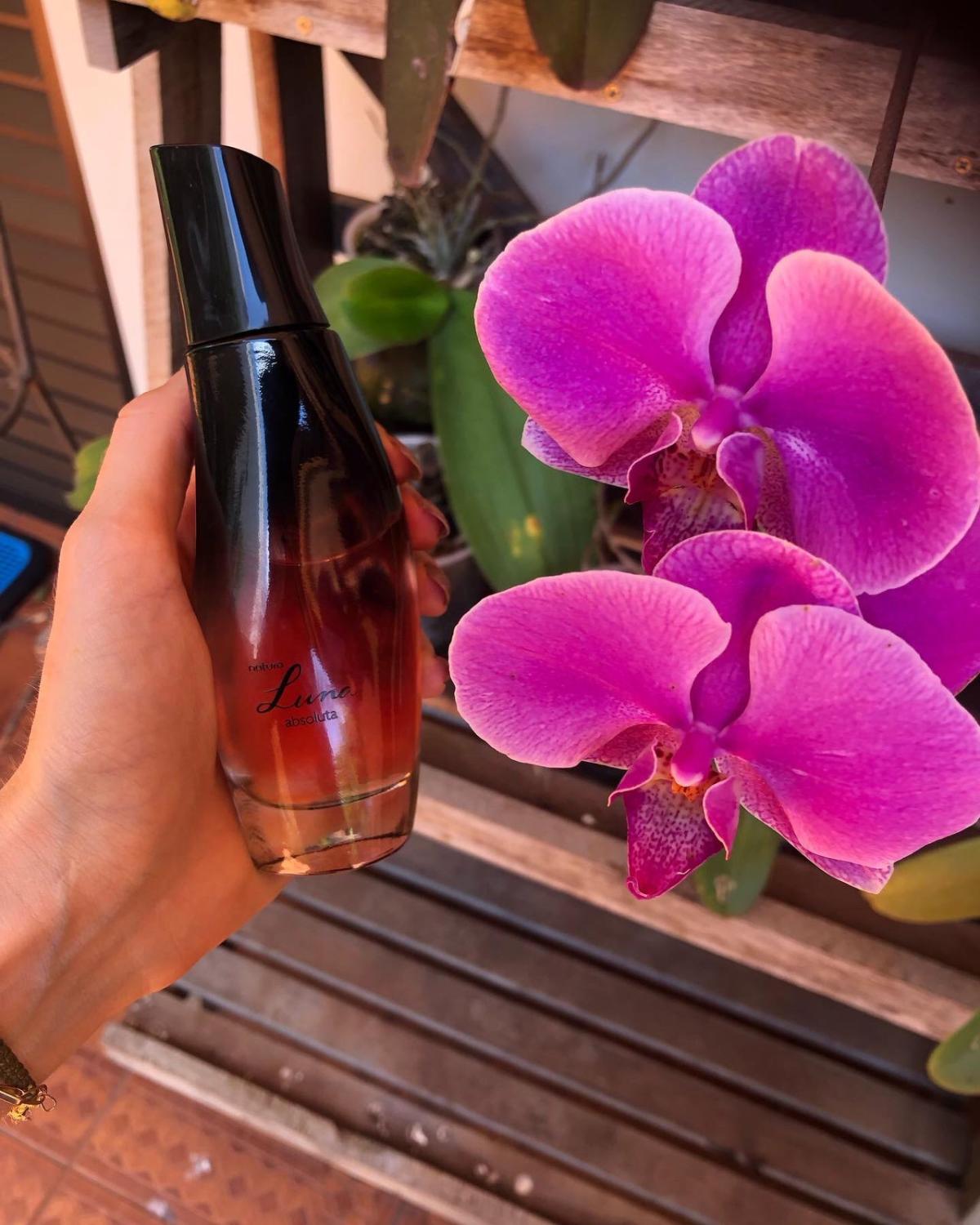 عطر ادکلن لونا ابسولوتا ناتورا - Luna Absoluta Natura - بررسی، قیمت و خرید
